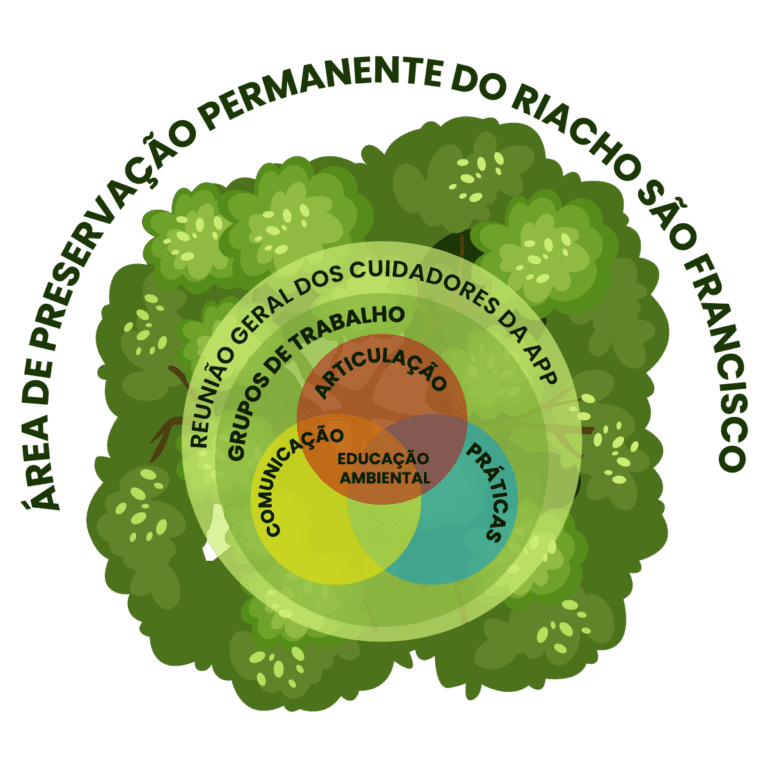 Organograma