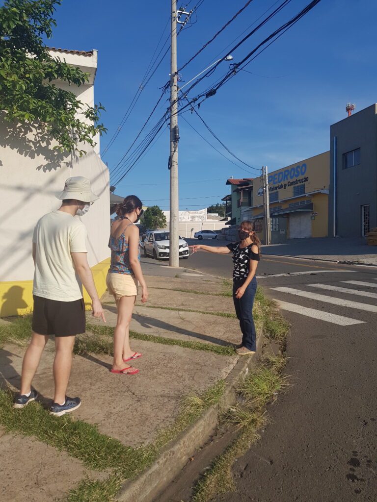 mapeamento árvores 1
