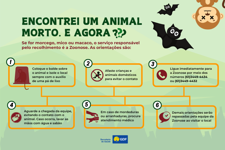 Descarte de animal morto