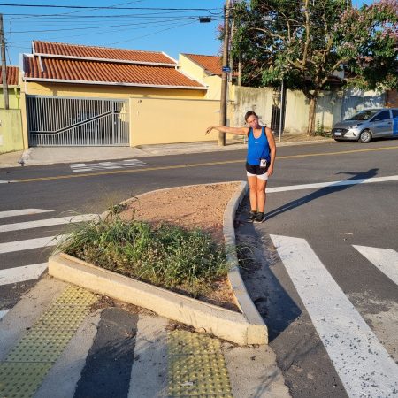 Aqui cabe uma árvore