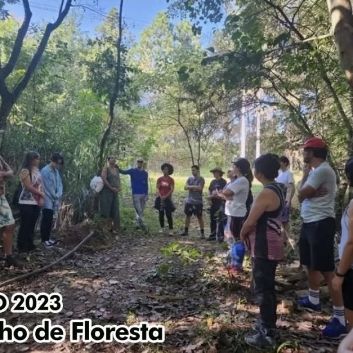 MAIO 2023 Banho de Floresta