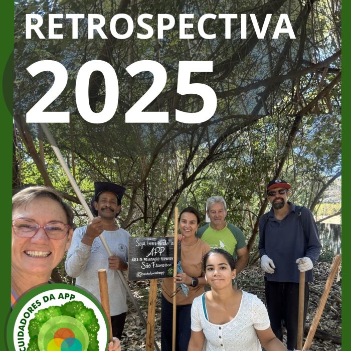 RETROSPECTIVA 2025