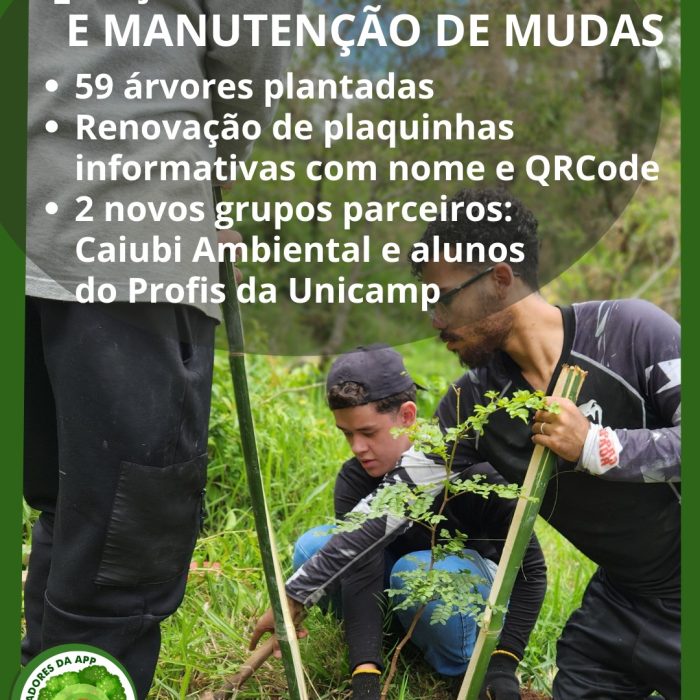 4 AÇÕES DE PLANTIO, REGA E MANUTENÇÃO DE MUDAS