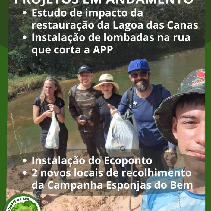 PROJETOS EM ANDAMENTO