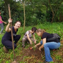 plantando